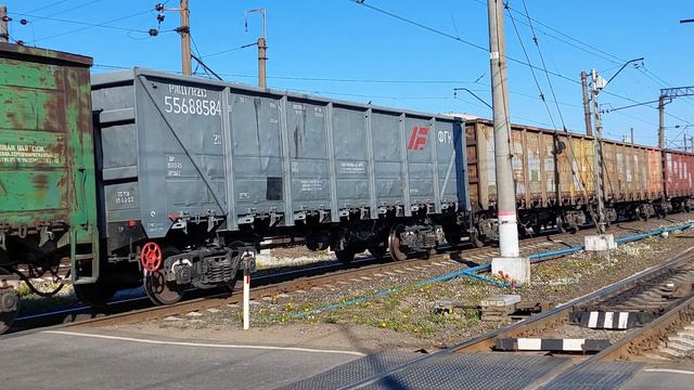 Неожиданный тормоз: грузовой поезд блокирует железнодорожный переезд!
