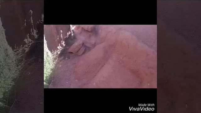 Природа Кыргызстана. Продолжение следует.