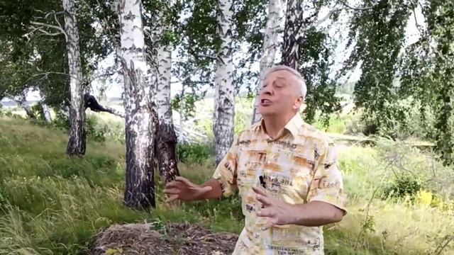 С. Есенин "Хулиган"
