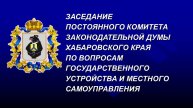 Заседание комитета Думы по вопросам государственного устройства и МСУ 03.05.2024