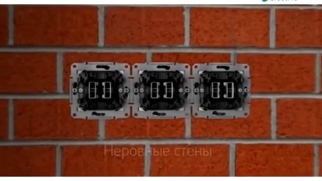 приколы седна (sedna)