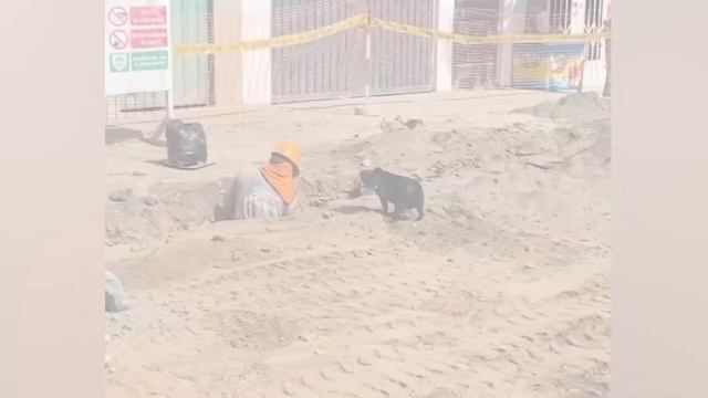 Попробуй НЕ Улыбнуться ? Смешные Моменты Снятые на Камеру