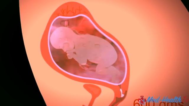 Pregnancy  Kannada   Month 5   ಗರಭಧರಣ ತಗಳ- 5