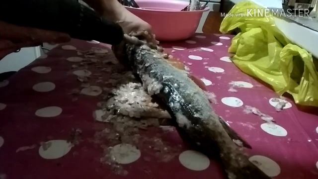 Чистим рыбу шуруповертом.