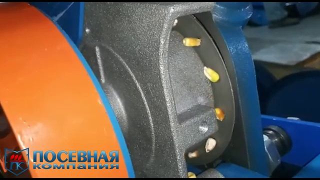 Работа высевающего аппарата сеялки СПЧ (СПП) с семенами кукурузы