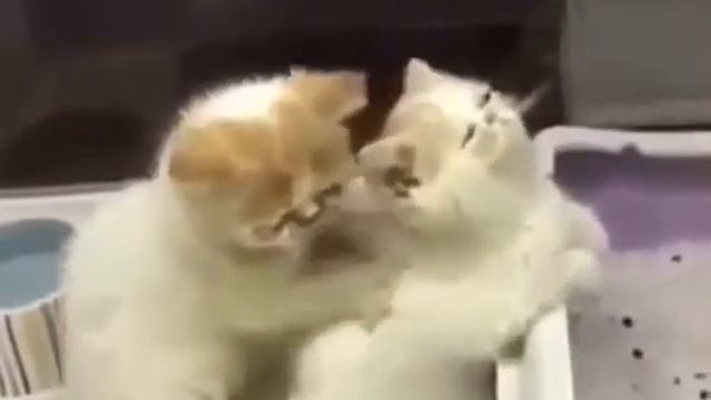 Муж делает массаж спины жине