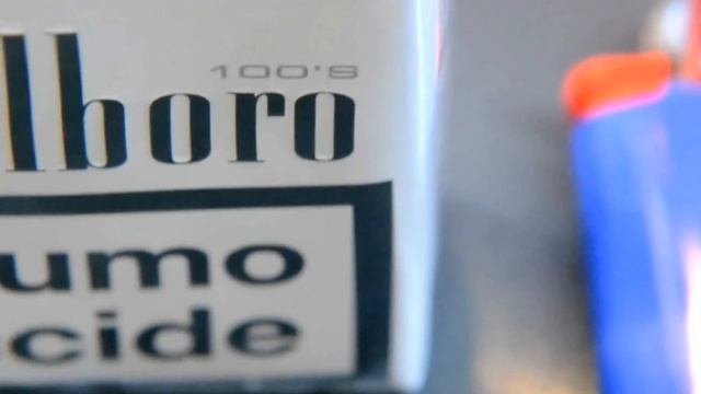 Nikon D3100 with Nikon 18-105mm f/3.5-5.6G AFs VR + Filter  HOYA 67 +3 ( Macro )