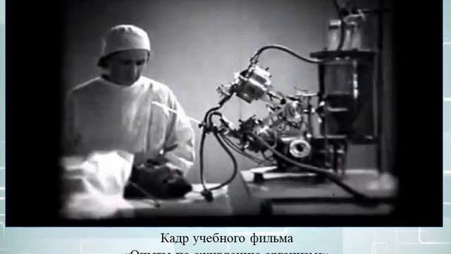 Нам есть, кем гордиться!