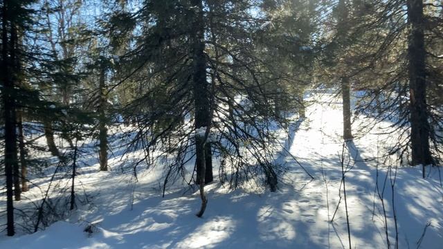 Сукан зима 2022.mp4