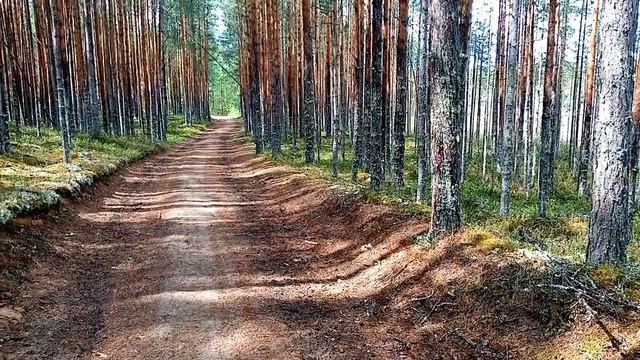 Коп возле болота и не только