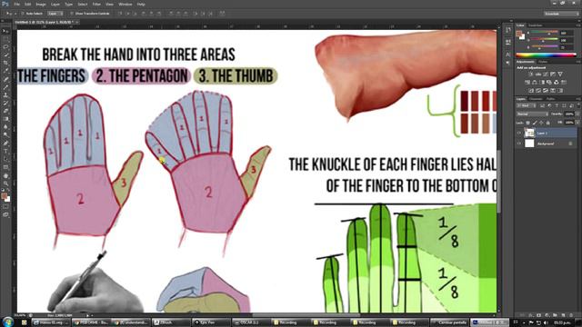 Anat-Vol 03-19  Fingers_Base_Part_3-4