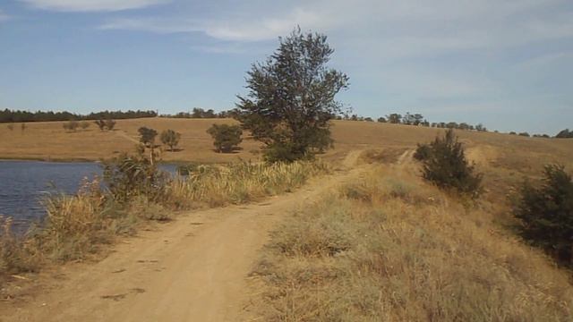 Городской ставок в Краснодоне