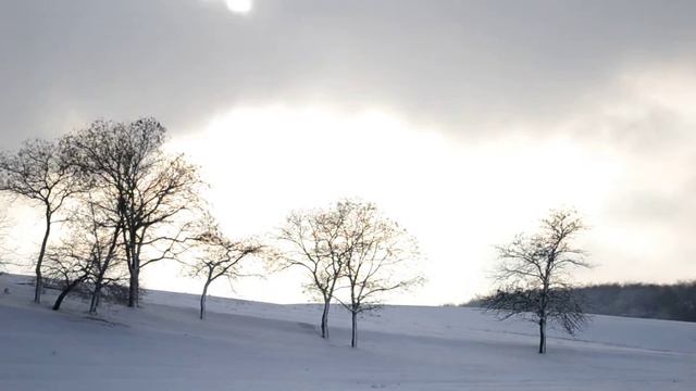 ДИК Чистенькое.MOV