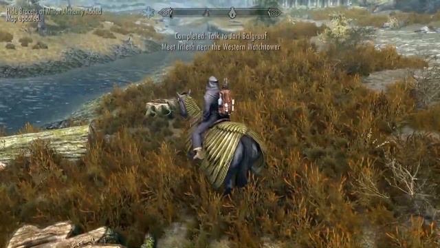 I don't want talk with Jarl Balgruuf. I want walk with Delphine. Skyrim Anniversary Edition