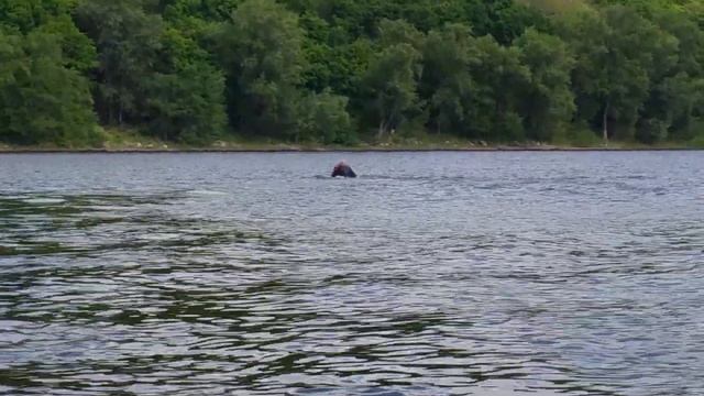 Андрей на стоячке