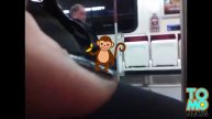 Чем ещё можно заняться в метро Торонто?!
