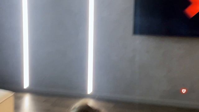 360