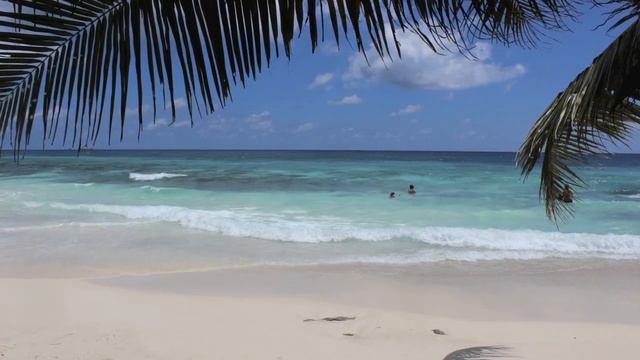 Seychelles 2014 April (La Digue and Mahe) Beautiful Beaches, Turtles and Tortoises