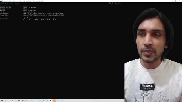 Make Your website or API publicly available for free #publicURL #FreePublicURL #ngrok