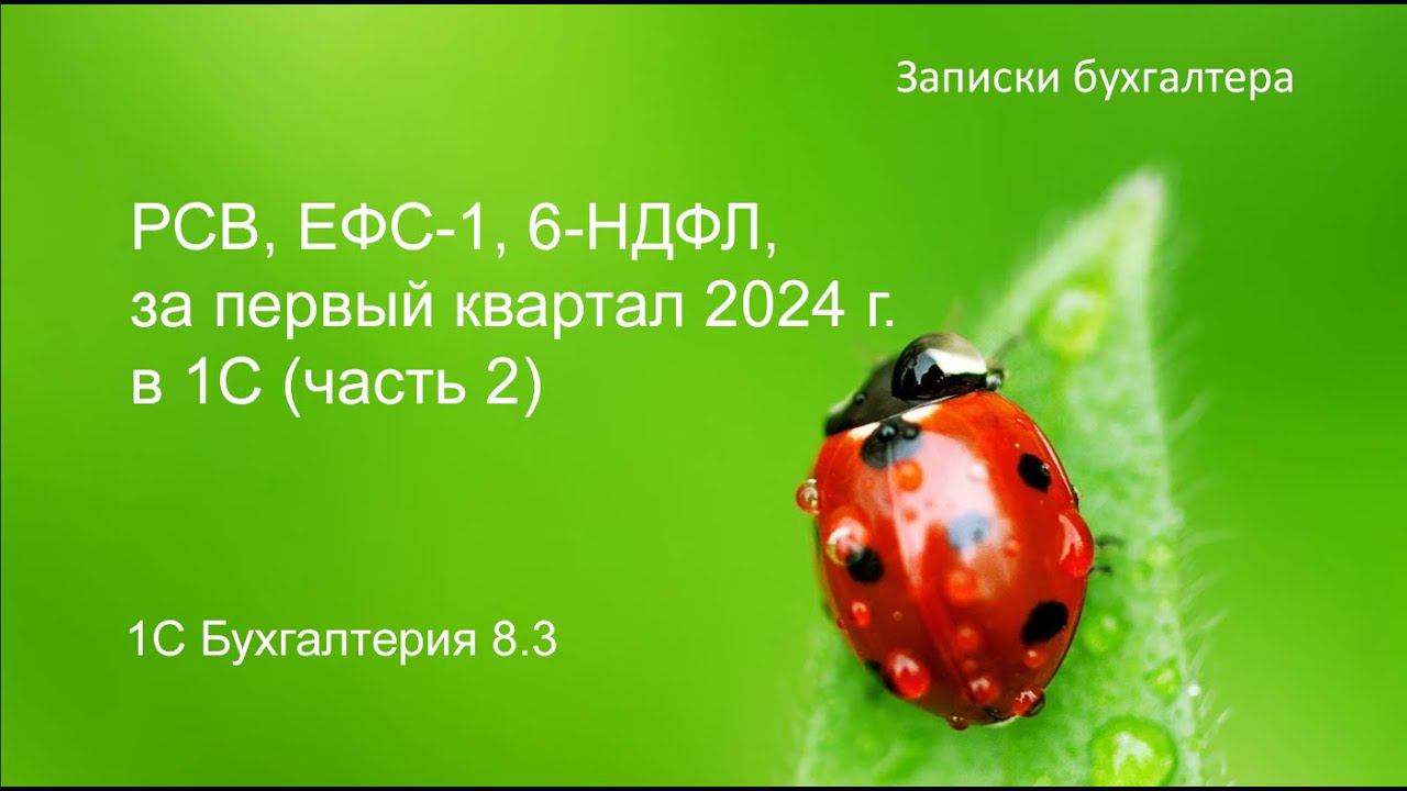 РСВ, ЕФС-1, 6-НДФЛ за первый квартал 2024 г. в 1С (часть 2)