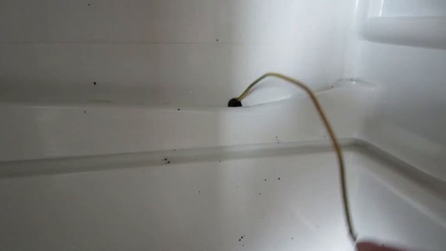 Сама себе мастер. Ремонт холодильника своими руками! Как сэкономить