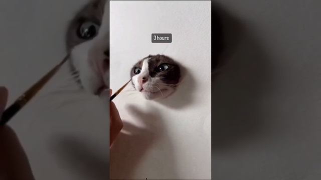 Как правильно нарисовать котика)))