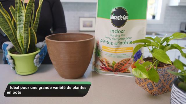 Terreau pour plantes d'intérieur Miracle Gro 8,8L