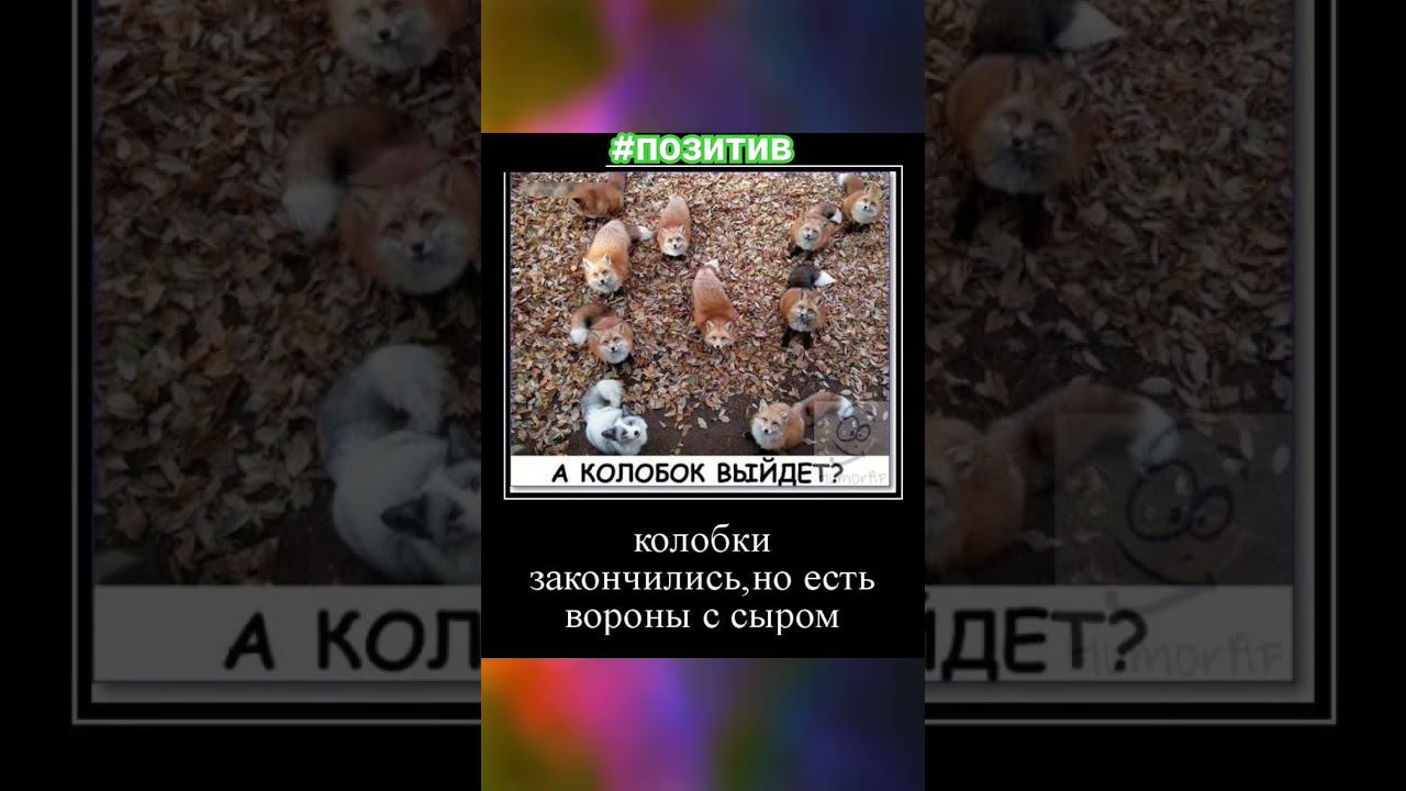 Добрый вечер . #позитив #мем #юмор #прикол #телеграм