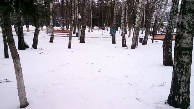 #Vlog.Гуляем в парке имени Рокосовского.Курск