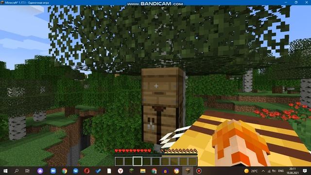 Я завёл пчелу в Майнкрафт | Minecraft 1.17.1