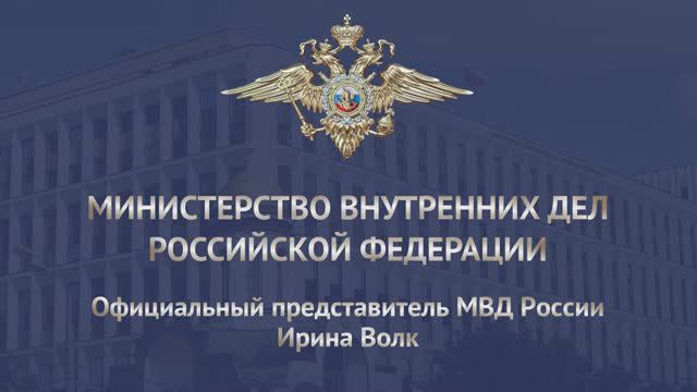 Ирина Волк: Сотрудники полиции на транспорте привлекли к ответственности авиадебошира