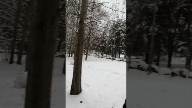 Луч Архангела Рафаила