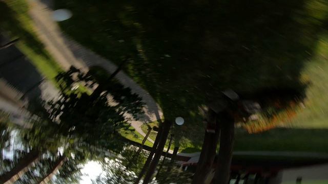 Рэйв