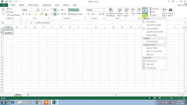 how to resize columns and rows excel in hindi