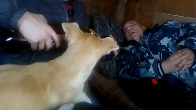 Будни Охраны!ПЁС АЛКАШ...