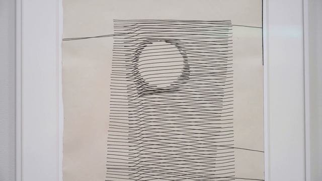 Gego: The Lines Of A Life
