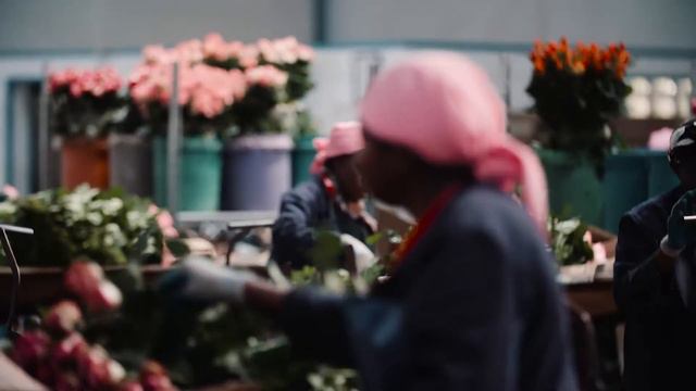 Syngenta: Be part of Every Flower Counts