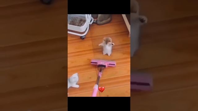 СМОТРИ И СМЕЙСЯ