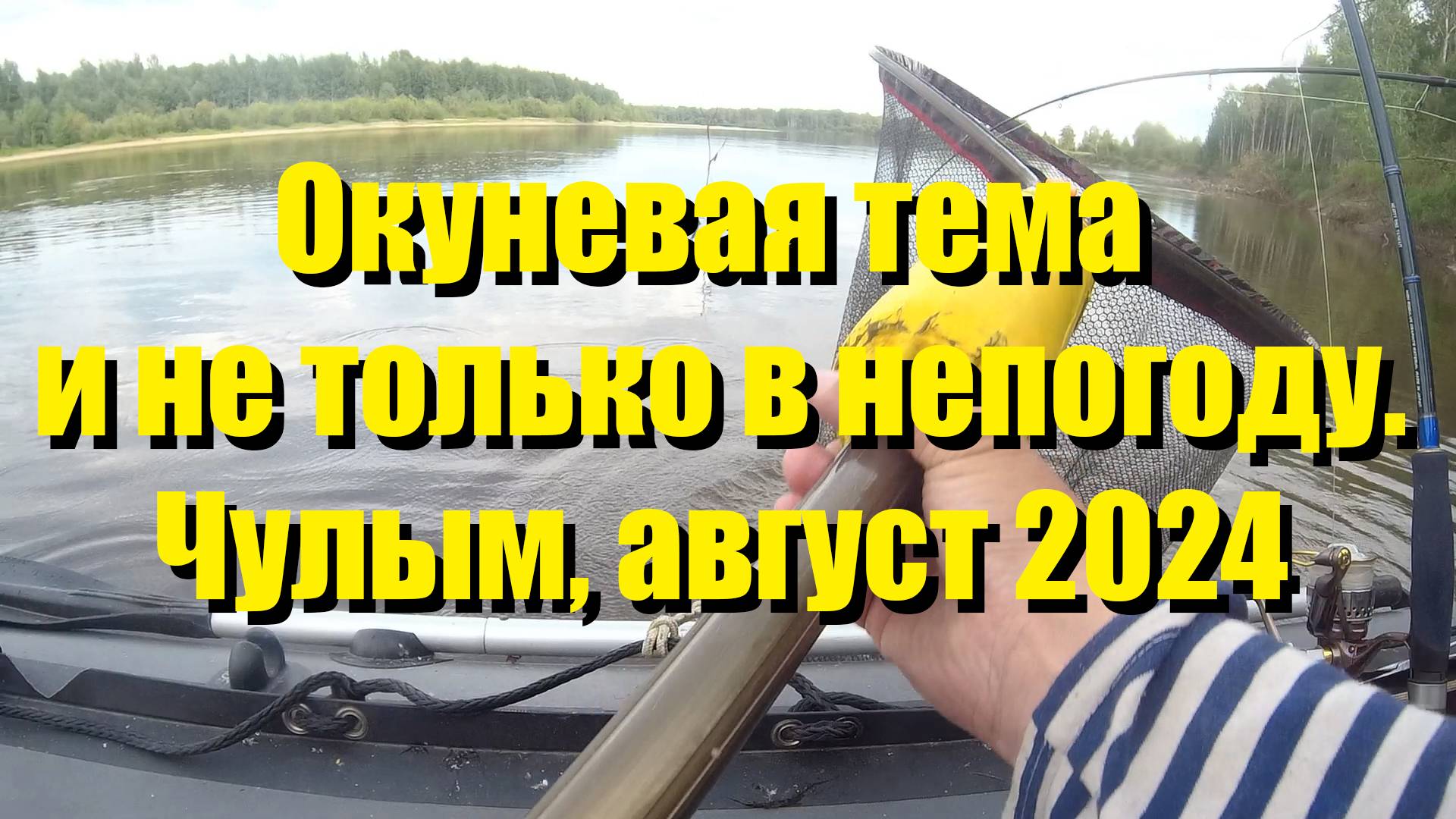 Окуневая тема  и не только в непогоду. Чулым, август 2024