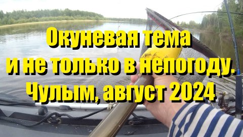 Окуневая тема и не только в непогоду. Чулым, август 2024