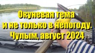 Окуневая тема и не только в непогоду. Чулым, август 2024