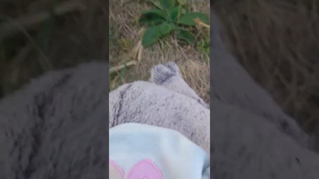 Это Батик