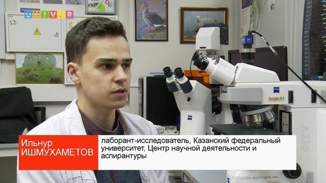 МИКРОПЛАСТИК В КЛЕТКАХ ЧЕЛОВЕКА