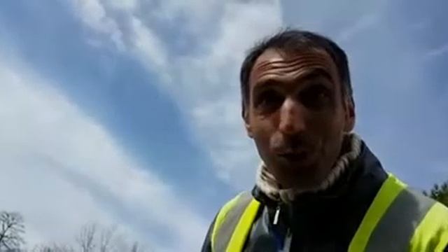 Mirt Sekili