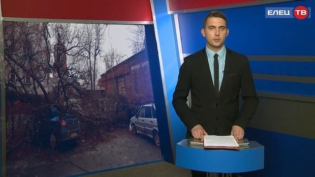 Сильные порывы ветра повалили деревья и оставили ельчан без света