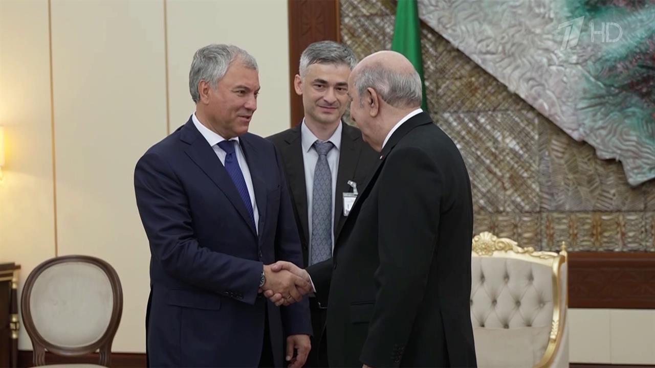 Председатель Госдумы Вячеслав Володин встретился с президентом Алжира Абдельмаджидом Теббуном