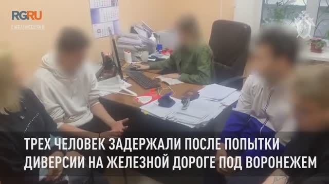 Трех человек задержали после попытки диверсии на железной дороге под Воронежем
