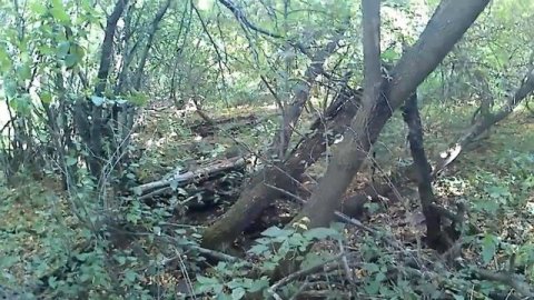 ОЧЕРЕДНОЙ НЕПЛОХОЙ КОП.