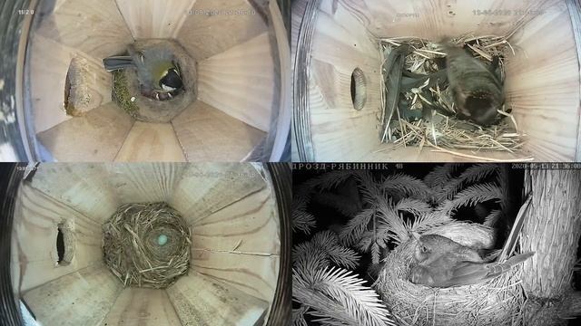Онлайн-трансляция  - 2020.   Часть-2  13.05.2020 г.. Город Калуга.