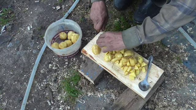 Грибной суп из белых грибов на костре из натуральных продуктов!